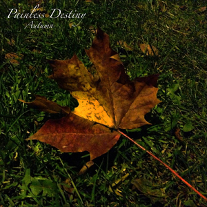 肏大屄的黄色大片
