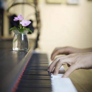 肏大屄的黄色大片
